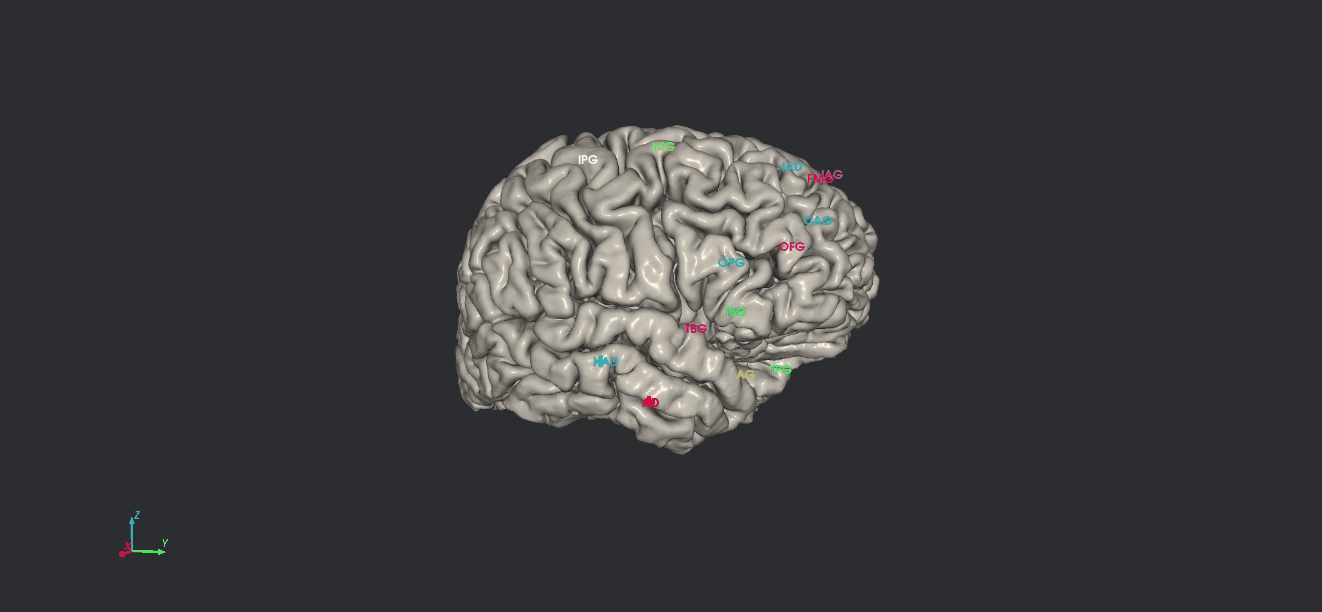Pial surface rotation
